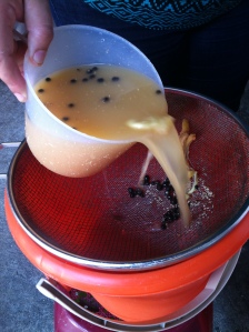 Strain the liquid using a colander over a bucket